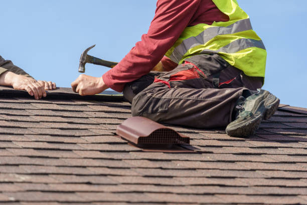 Best Roof Waterproofing Services  in Alamo, GA