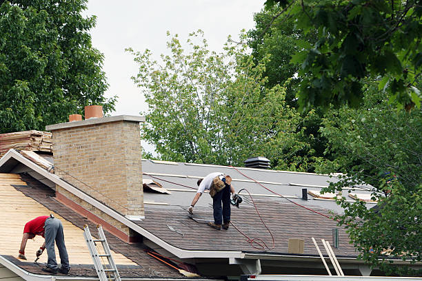 Professional Roofing Contractor in Alamo, GA