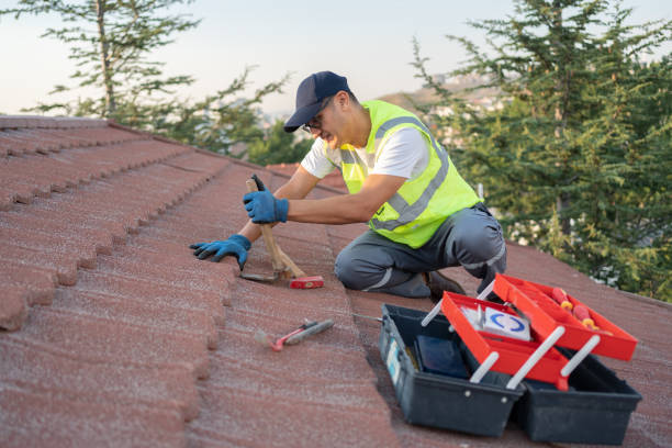 Quick and Trustworthy Emergency Roof Repair Services in Alamo, GA