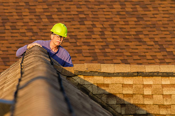 Best Roof Replacement Cost  in Alamo, GA