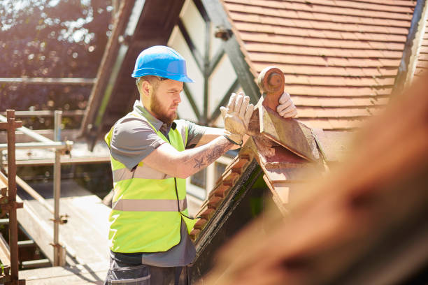 Best Storm Damage Roof Repair  in Alamo, GA